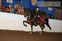 08r12_1675 thumbnail