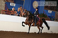 08r12_1678 thumbnail