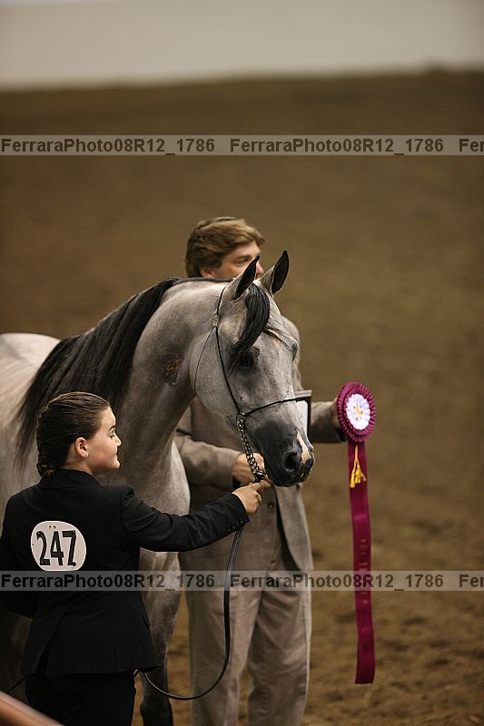 Proof Number 08r12_1786