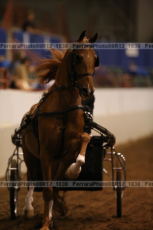 Proof Number 08r12_1838