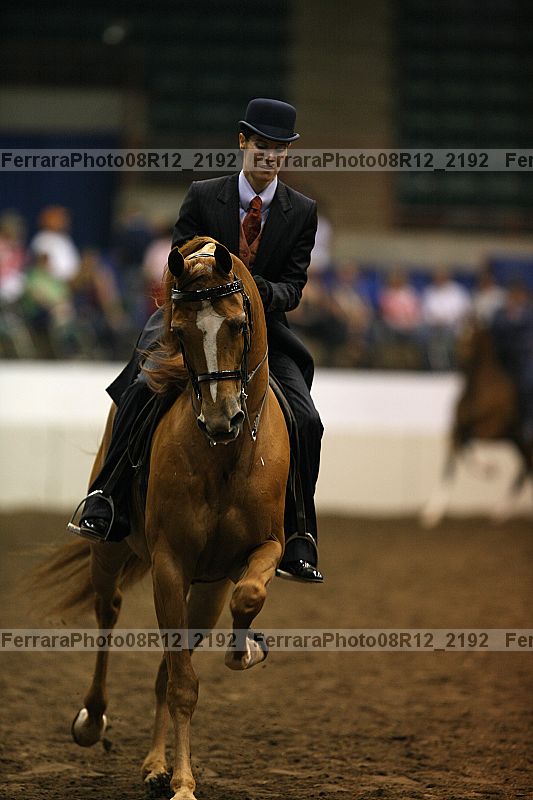 Proof Number 08r12_2192