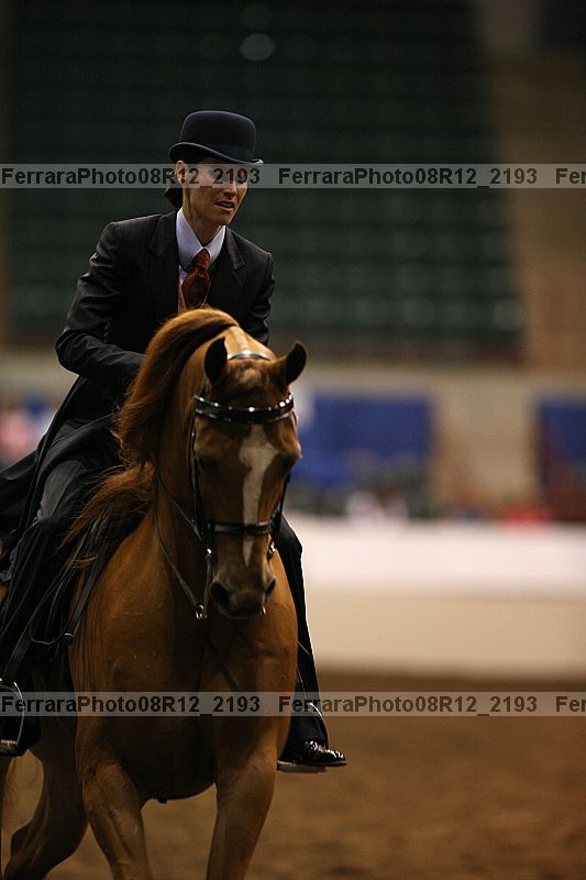 Proof Number 08r12_2193