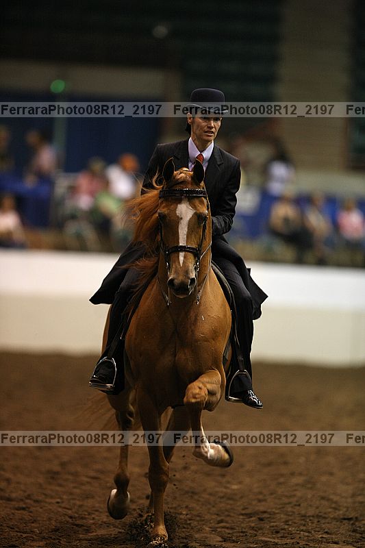 Proof Number 08r12_2197