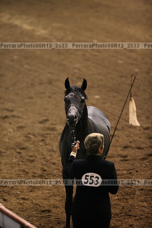 Proof Number 08r12_2533