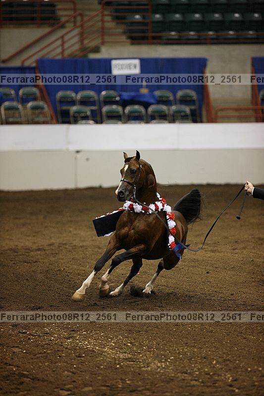 Proof Number 08r12_2561