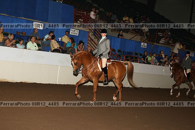 Proof Number 08r12_4485