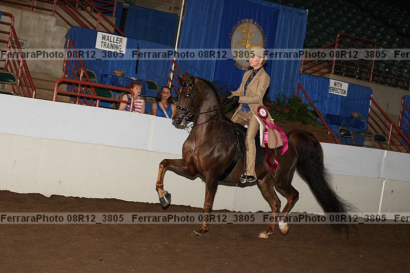 Proof Number 08r12_3805