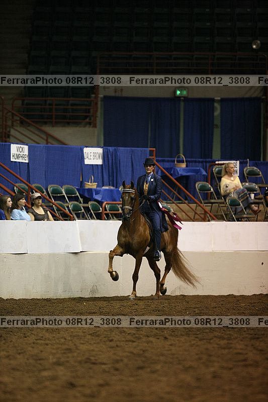 Proof Number 08r12_3808