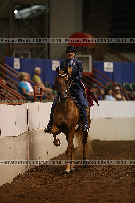 Proof Number 08r12_3810