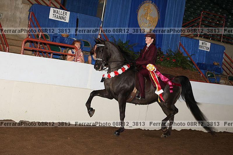Proof Number 08r12_3813