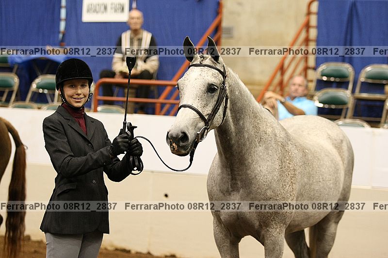 Proof Number 08r12_2837