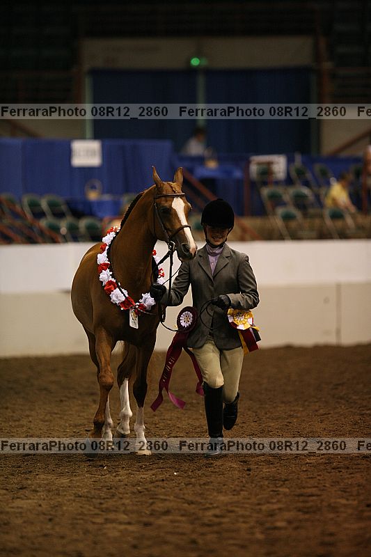 Proof Number 08r12_2860