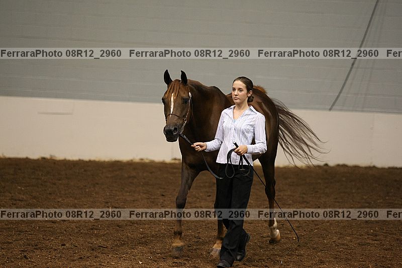 Proof Number 08r12_2960