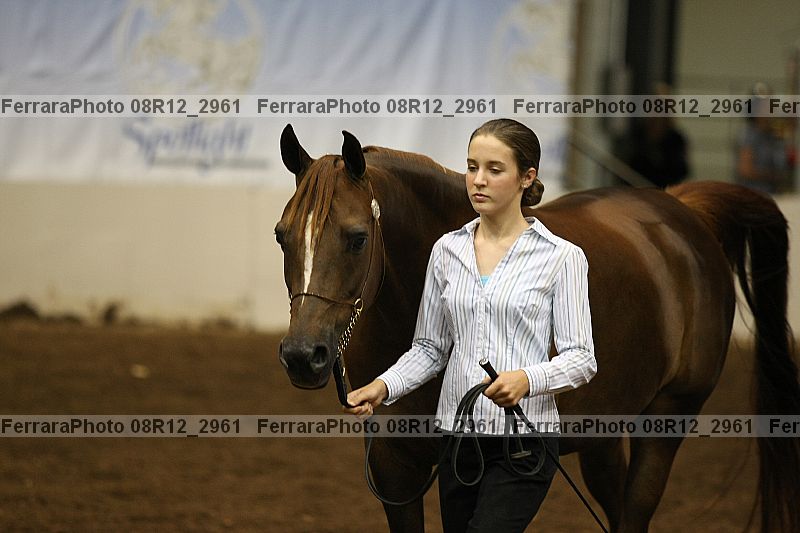 Proof Number 08r12_2961