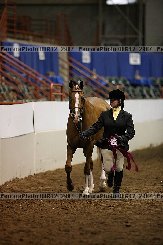 Proof Number 08r12_2987