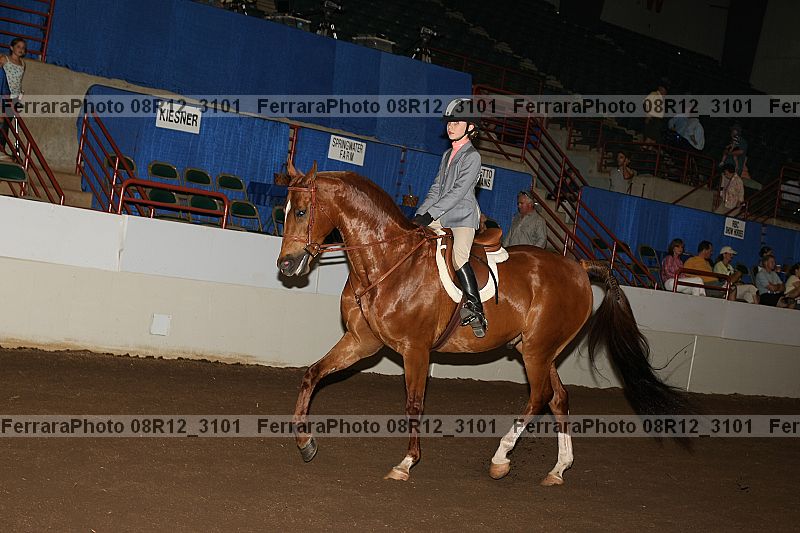 Proof Number 08r12_3101