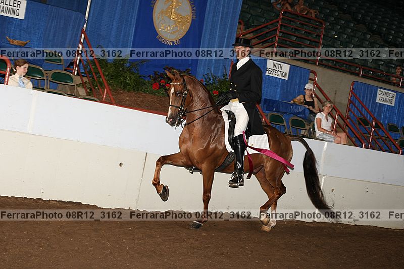 Proof Number 08r12_3162