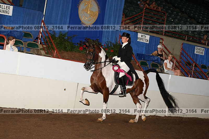 Proof Number 08r12_3164