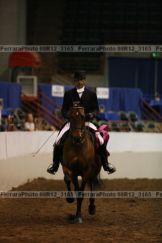 Proof Number 08r12_3165