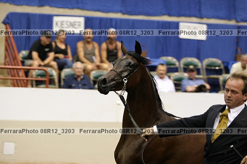 Proof Number 08r12_3203
