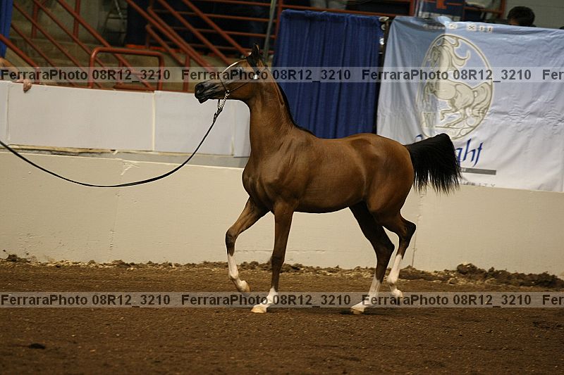 Proof Number 08r12_3210