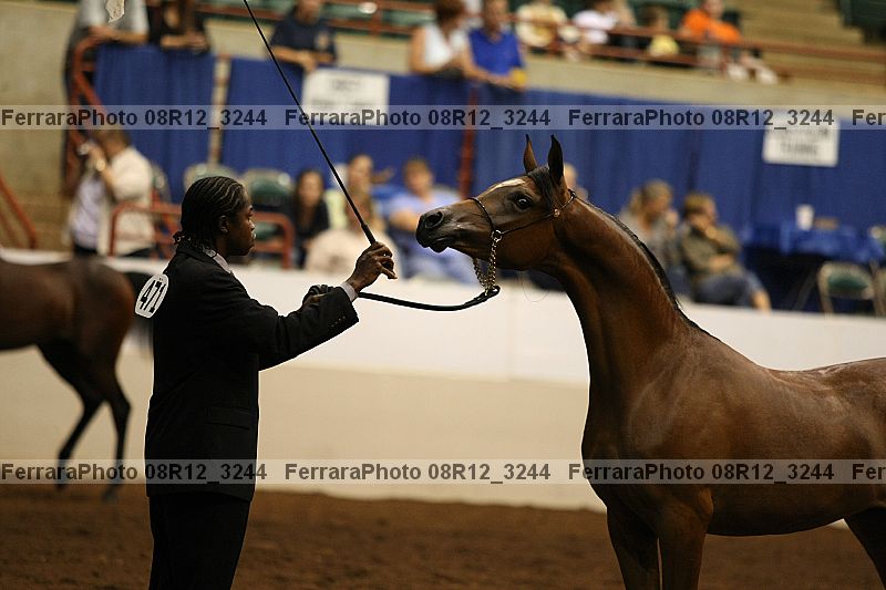 Proof Number 08r12_3244