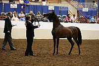 08r12_3245 thumbnail
