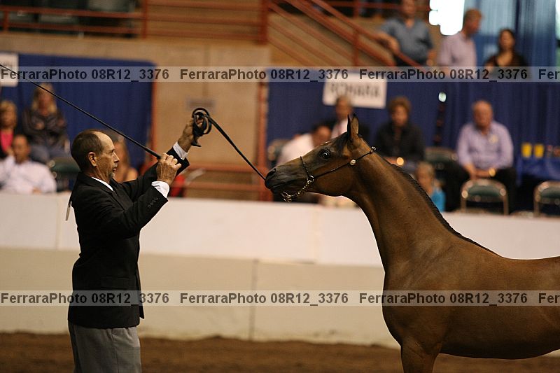 Proof Number 08r12_3376