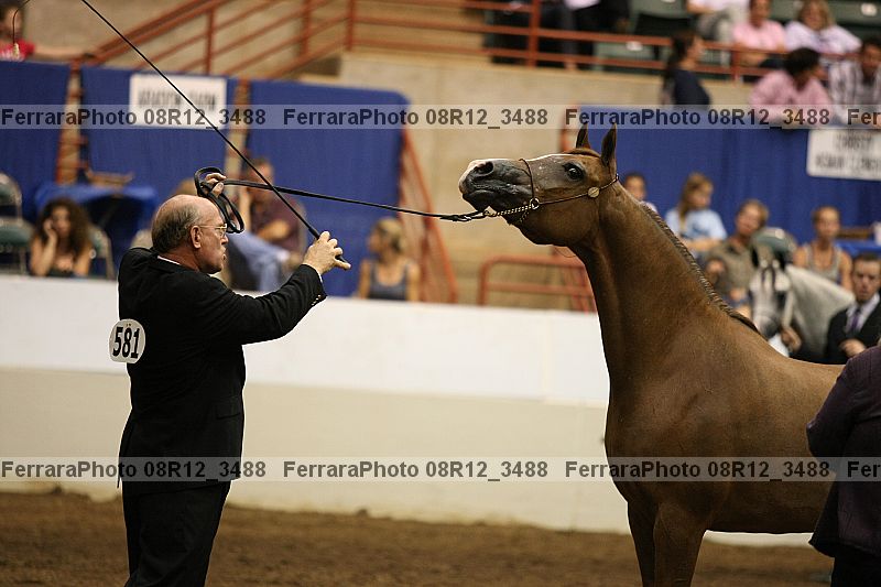 Proof Number 08r12_3488