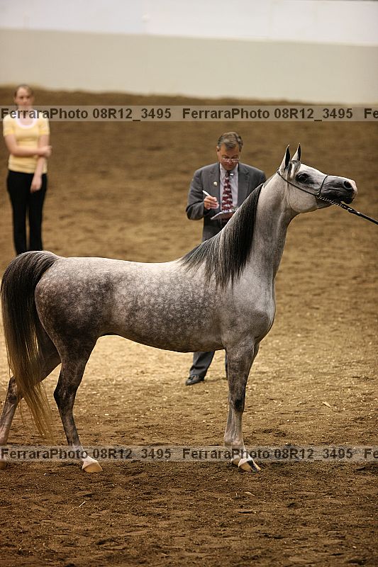 Proof Number 08r12_3495