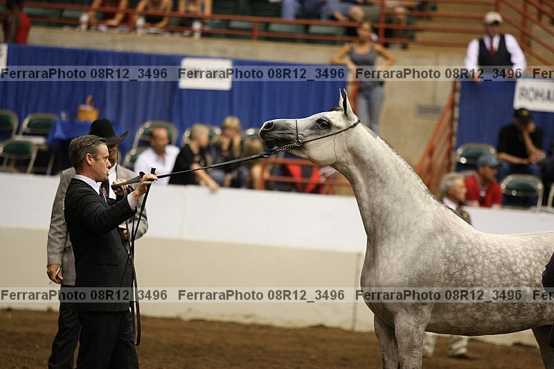 Proof Number 08r12_3496