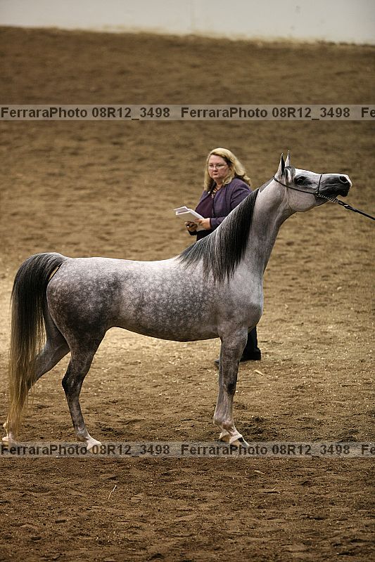Proof Number 08r12_3498