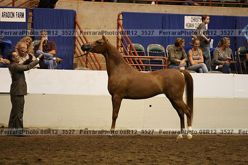 Proof Number 08r12_3527