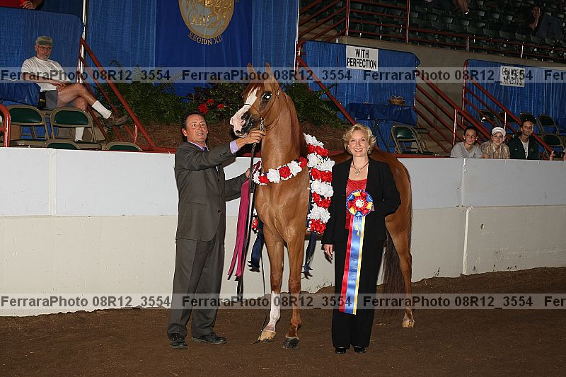Proof Number 08r12_3554