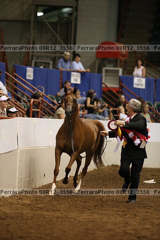 Proof Number 08r12_3556