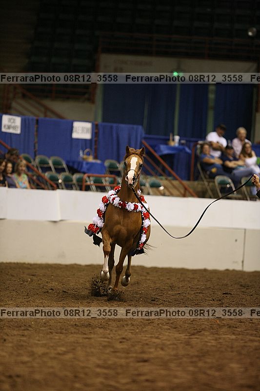 Proof Number 08r12_3558