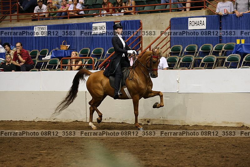 Proof Number 08r12_3583