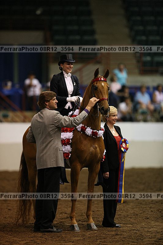 Proof Number 08r12_3594