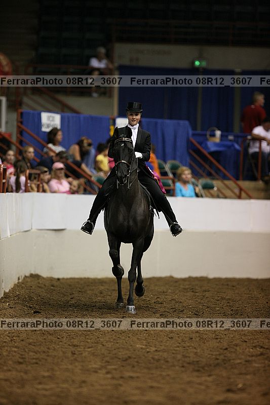 Proof Number 08r12_3607