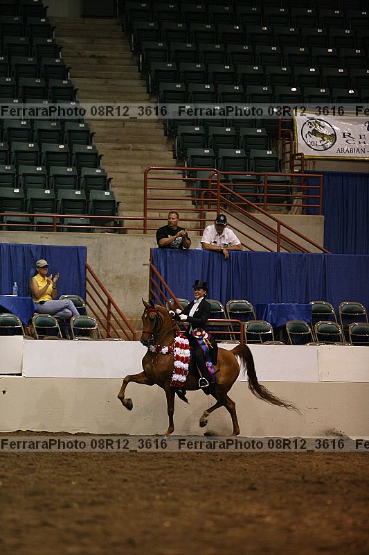 Proof Number 08r12_3616