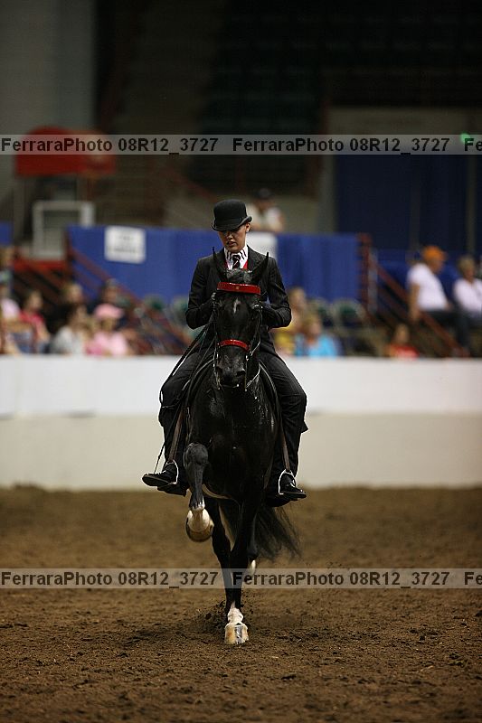 Proof Number 08r12_3727