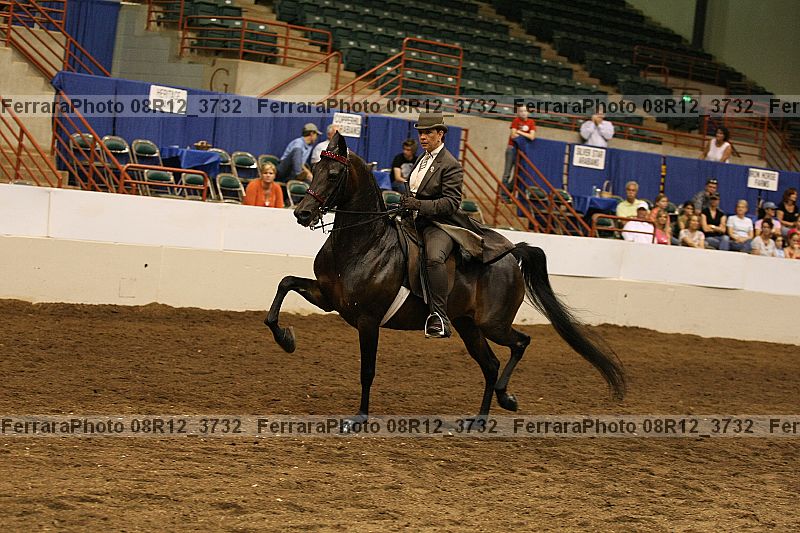 Proof Number 08r12_3732