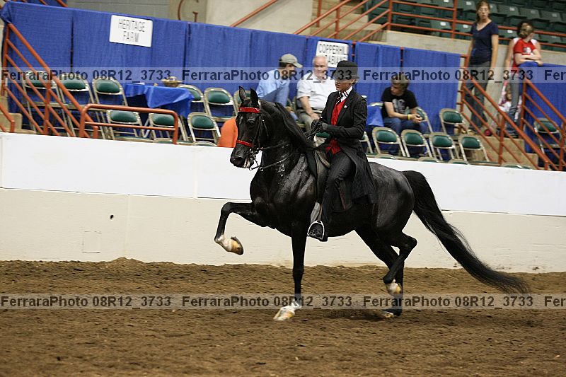 Proof Number 08r12_3733