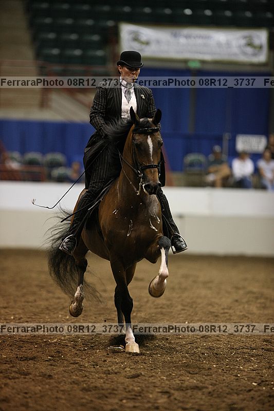 Proof Number 08r12_3737