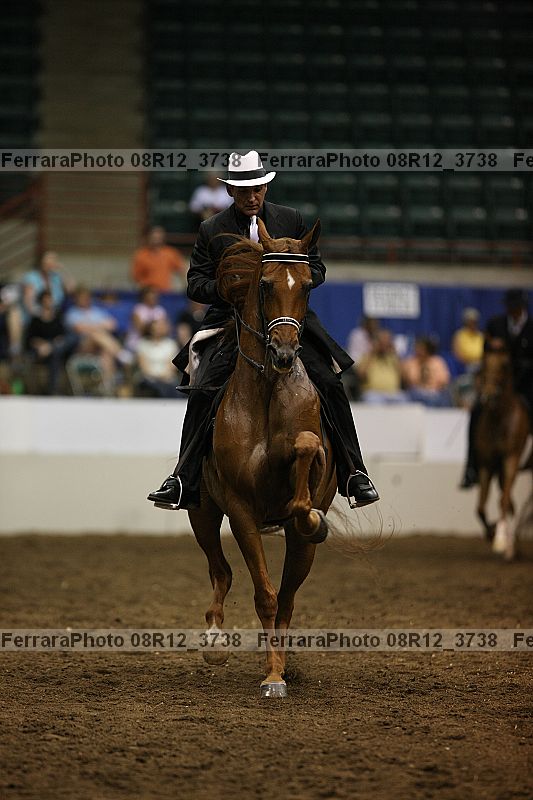 Proof Number 08r12_3738