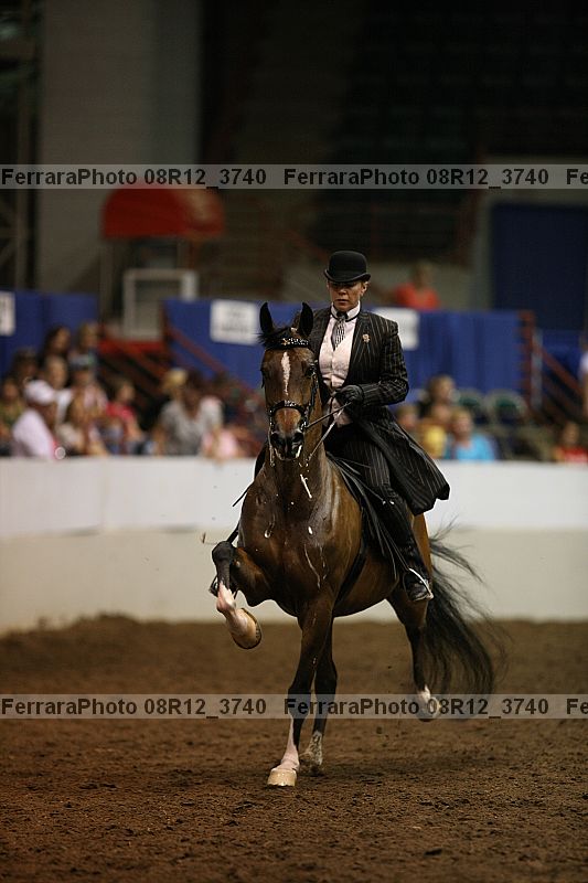 Proof Number 08r12_3740