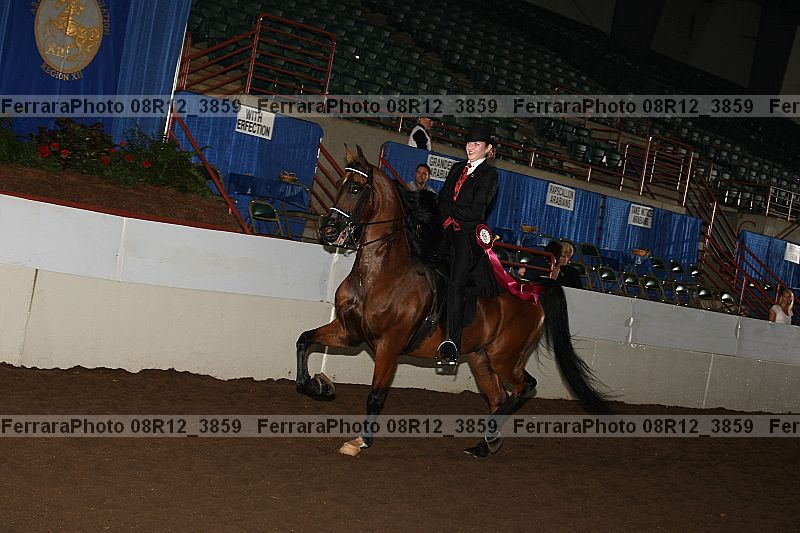 Proof Number 08r12_3859