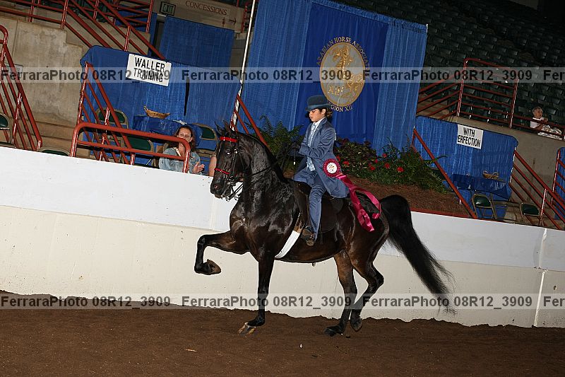 Proof Number 08r12_3909