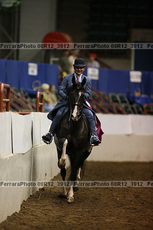 Proof Number 08r12_3912
