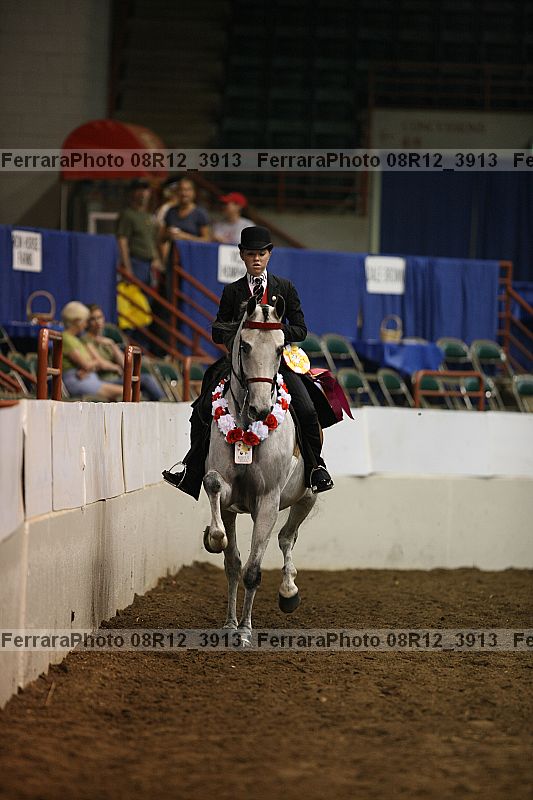 Proof Number 08r12_3913